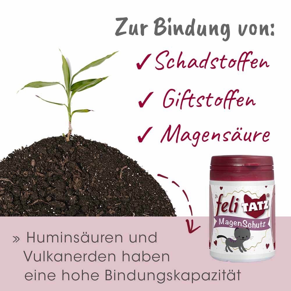 cdVet feliTATZ Magenschutz_3
