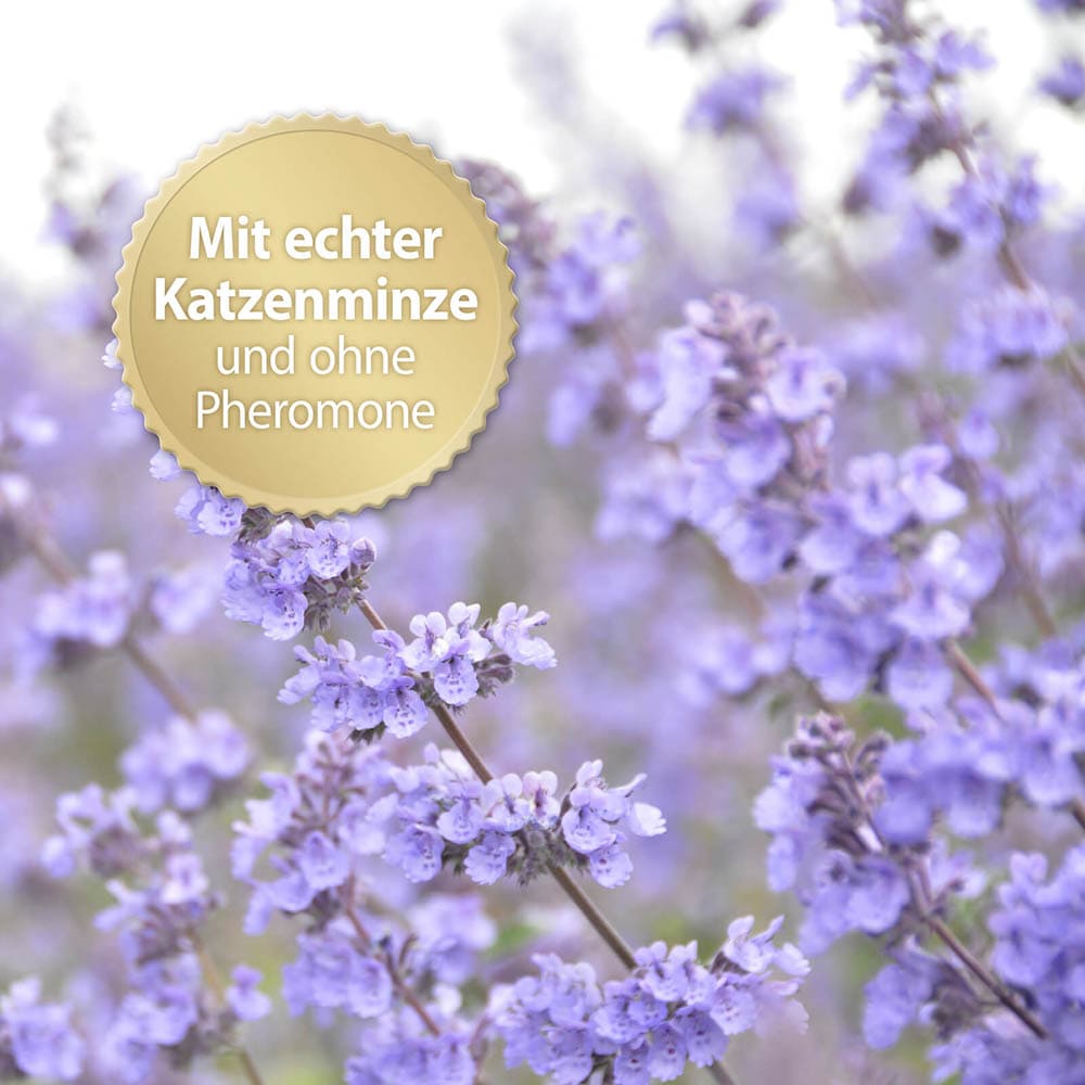 Felisept Home Comfort Raumdiffuser Set für Katzen _3