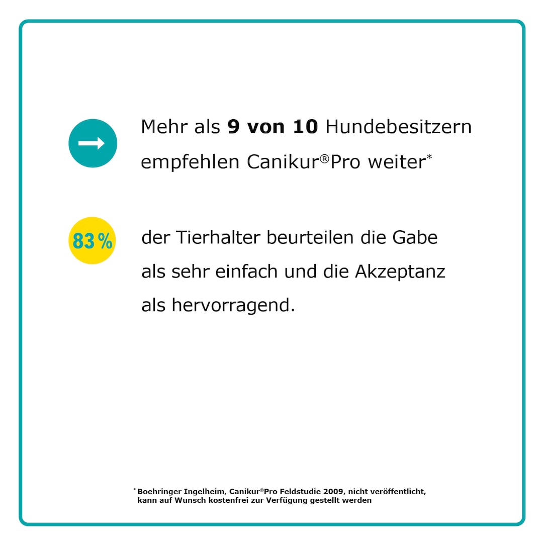 Boehringer Ingelheim Canikur Pro_3