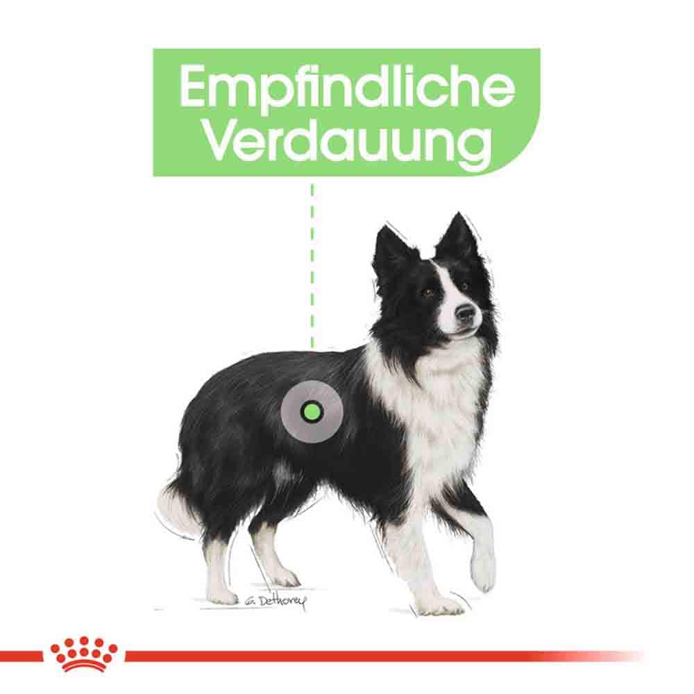 Royal Canin Digestive Care Medium Trockenfutter für mittelgroße Hunde mit empfindlicher Verdauung_2