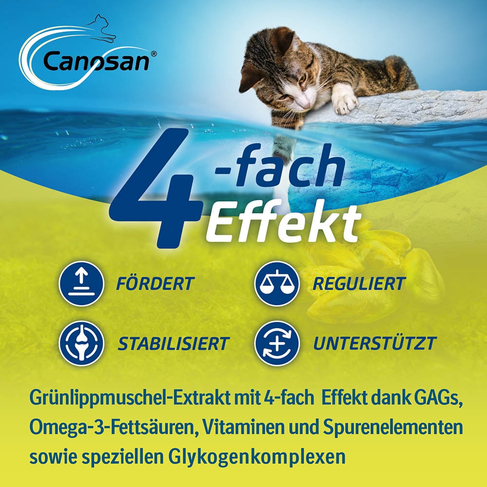 Boehringer Ingelheim Canosan Kautabletten Katze_3