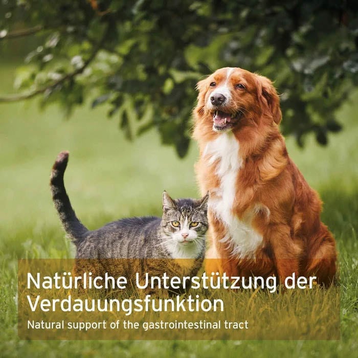 AniForte Indische Flohsamen für Hunde und Katzen_4