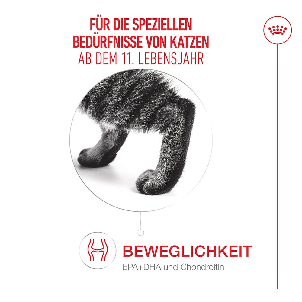 Royal Canin Ageing 11+ Feuchtnahrung in Soße für Senior Katzen ab dem 11. Lebensjahr_3
