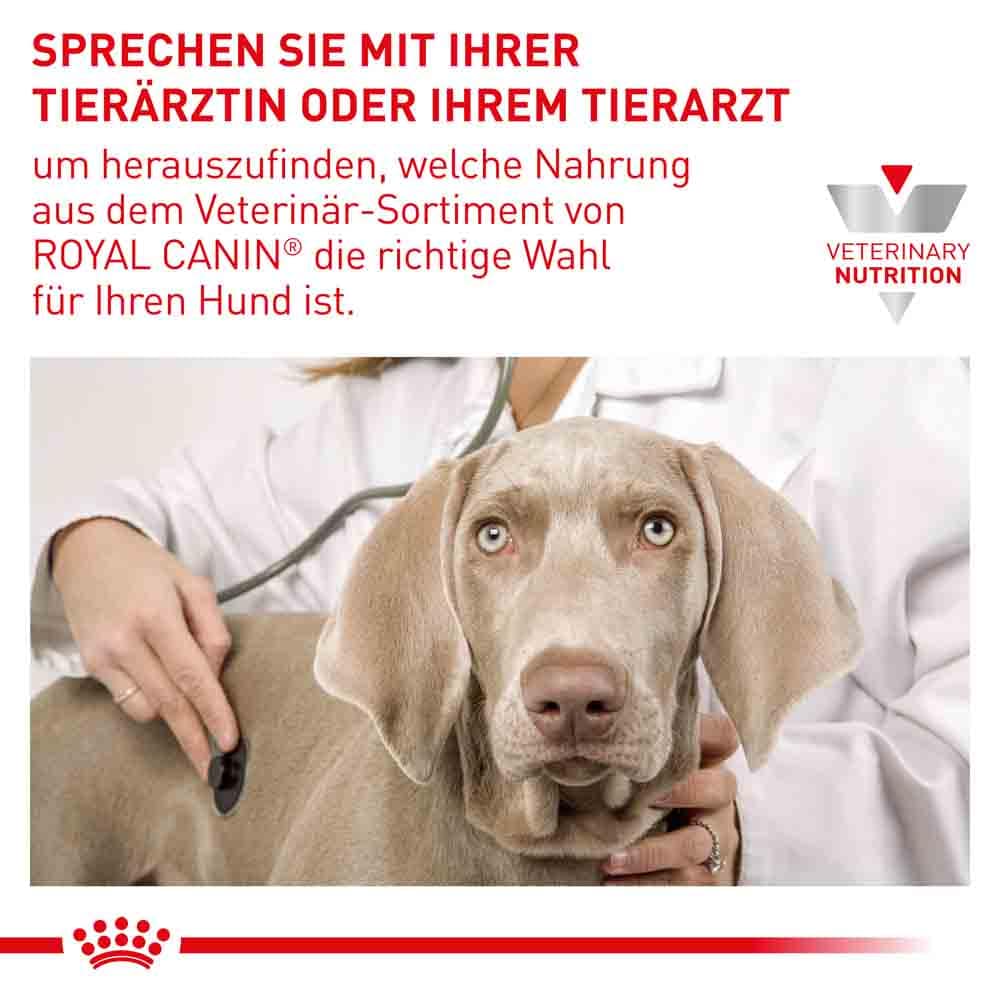 Royal Canin Expert Mature Consult Nassfutter für Hunde_1