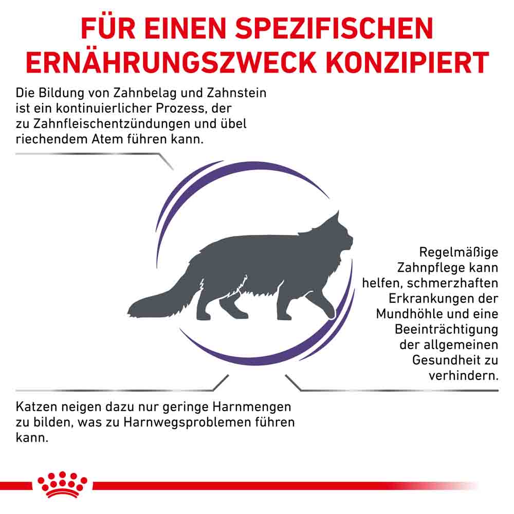 Royal Canin Expert Dental Trockenfutter für Katzen_2