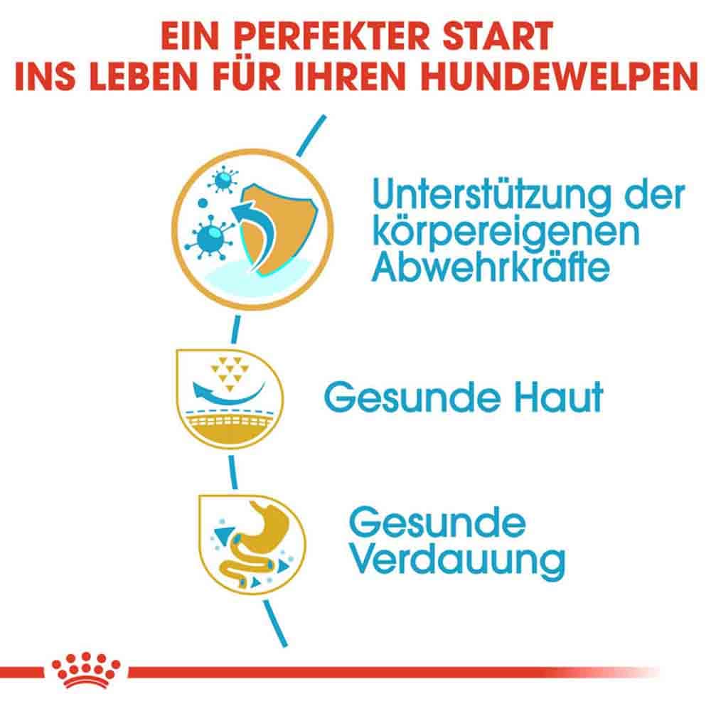 Royal Canin Pug Puppy Welpenfutter trocken_3