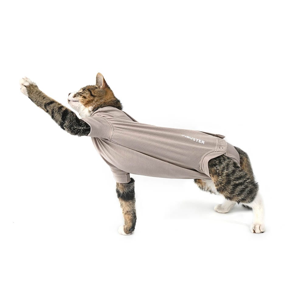 Kruuse Buster Body Suit Step’n Go für Katzen_1