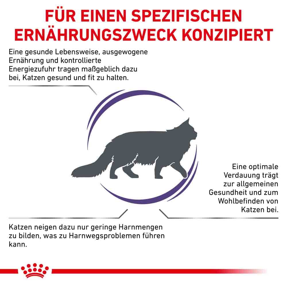 Royal Canin Expert Adult Trockenfutter für Katzen _3