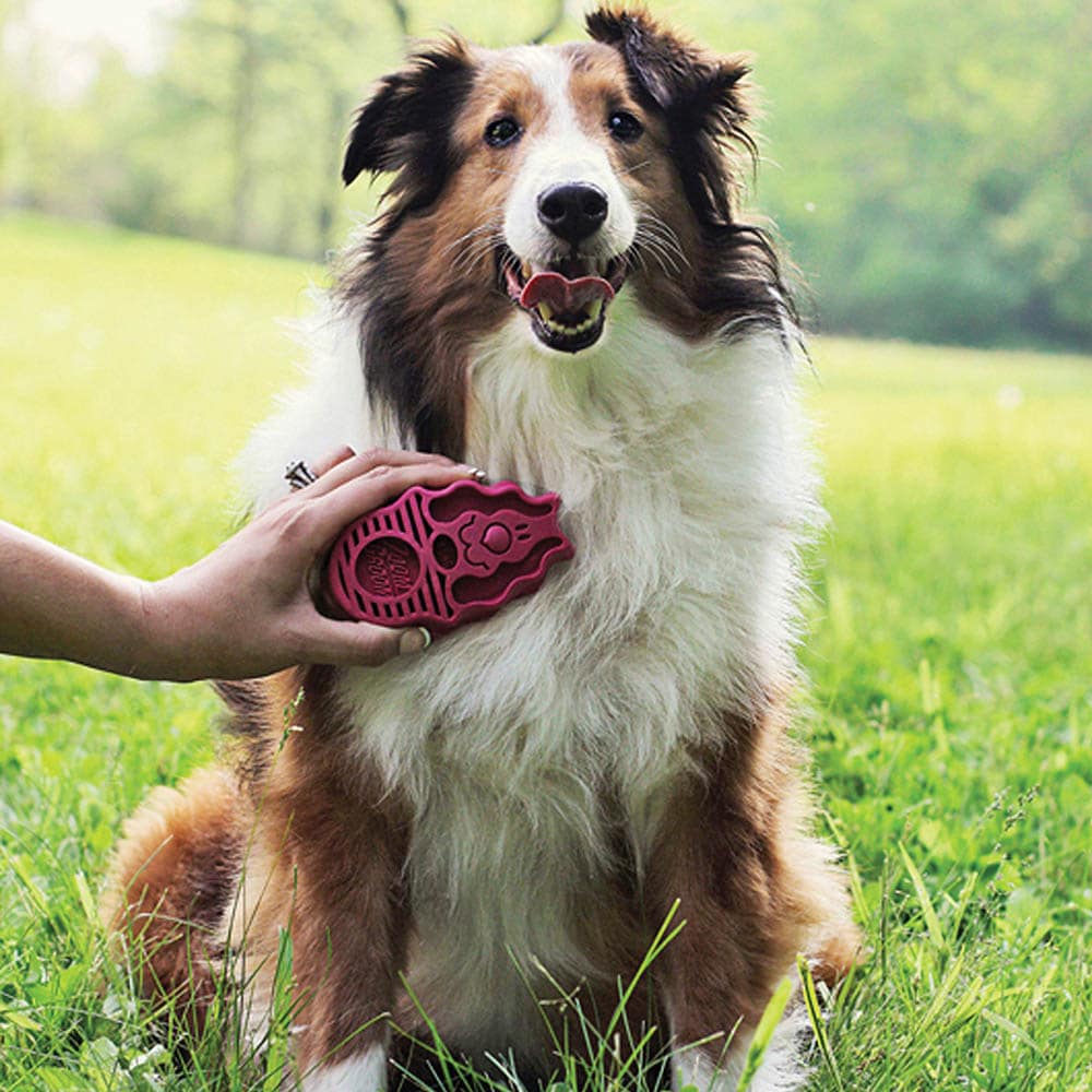 Kong ZoomGroom für Hunde_1