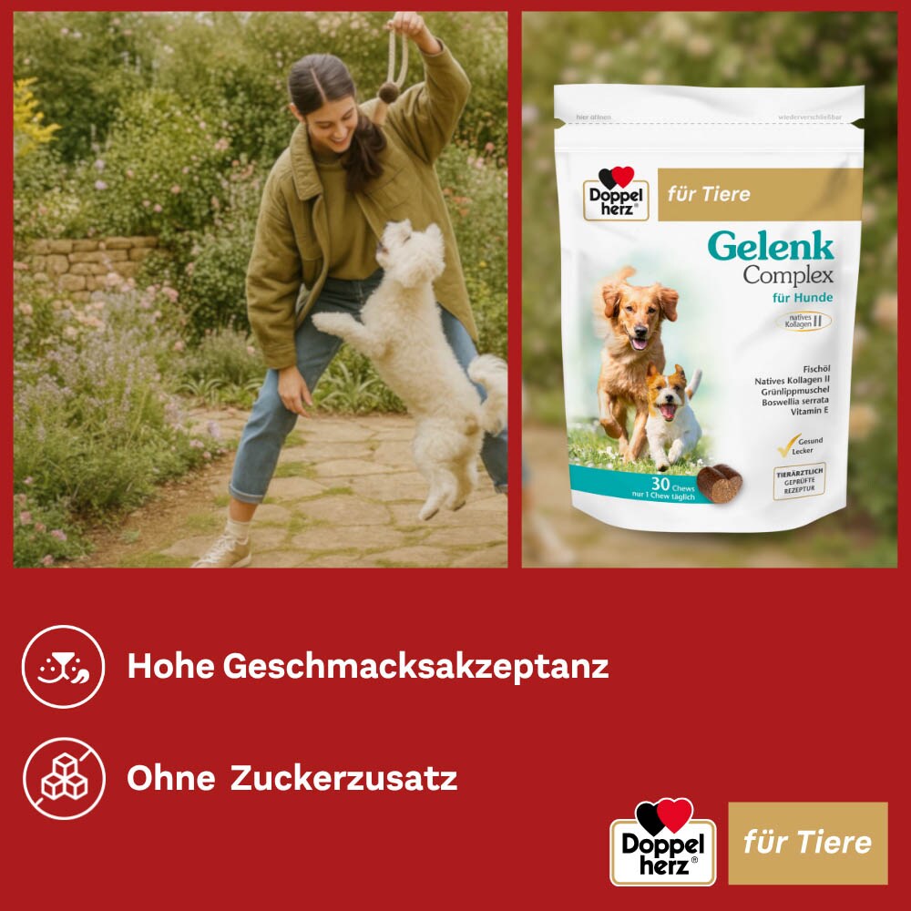 Doppelherz Gelenk Complex für Hunde_5