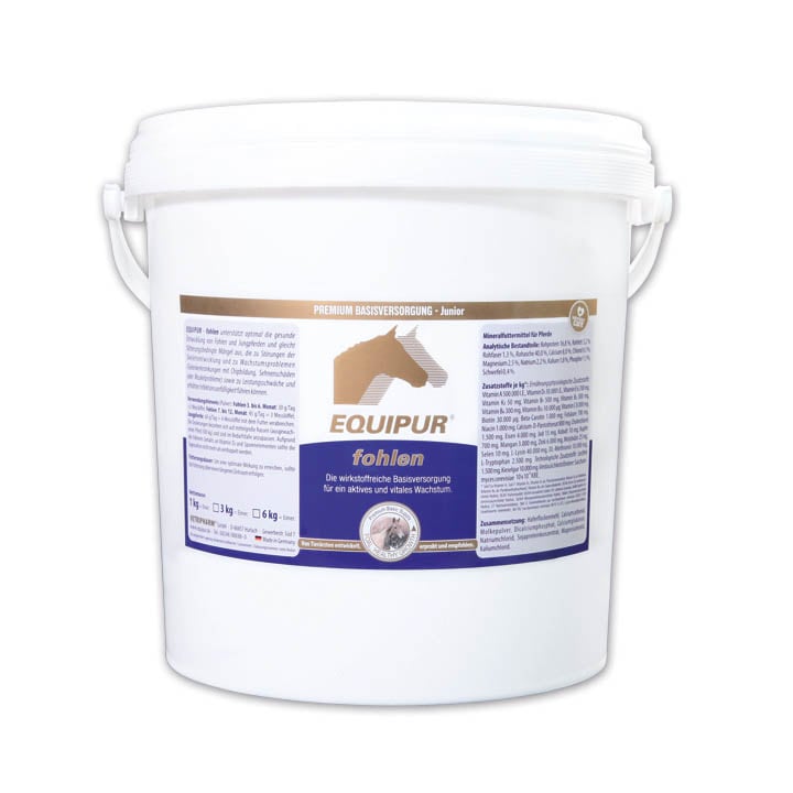 Equipur fohlen_2