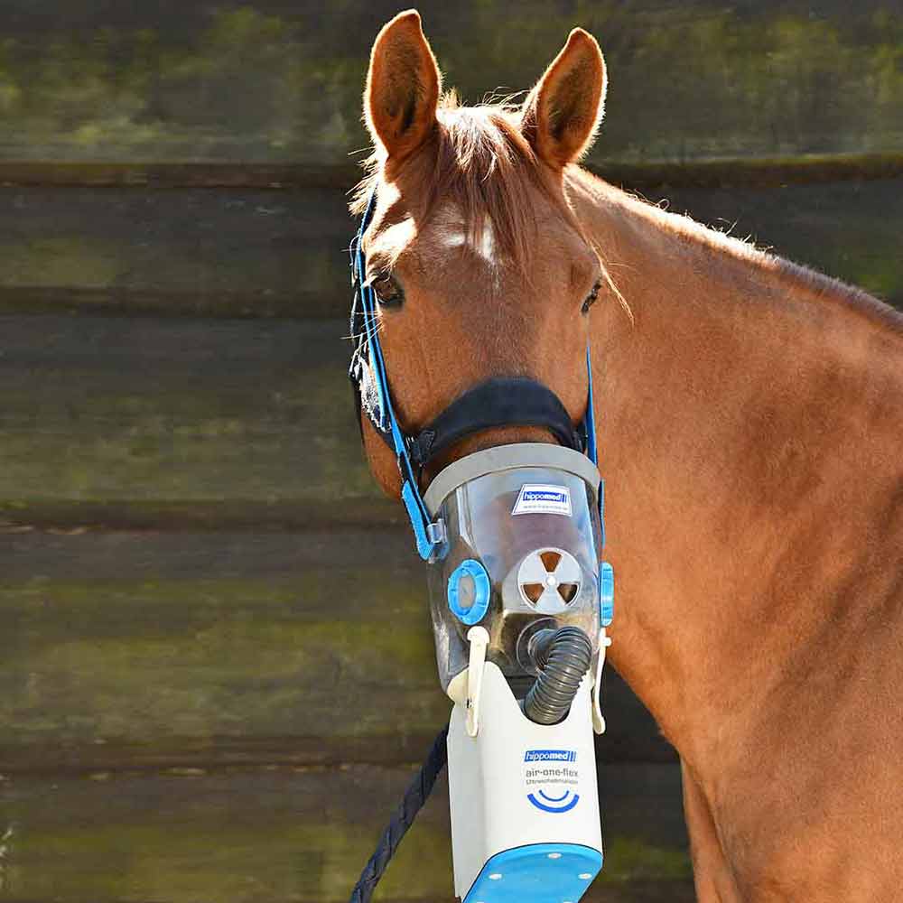 Ultraschallinhalator Air-One-Flex mit Akku_0