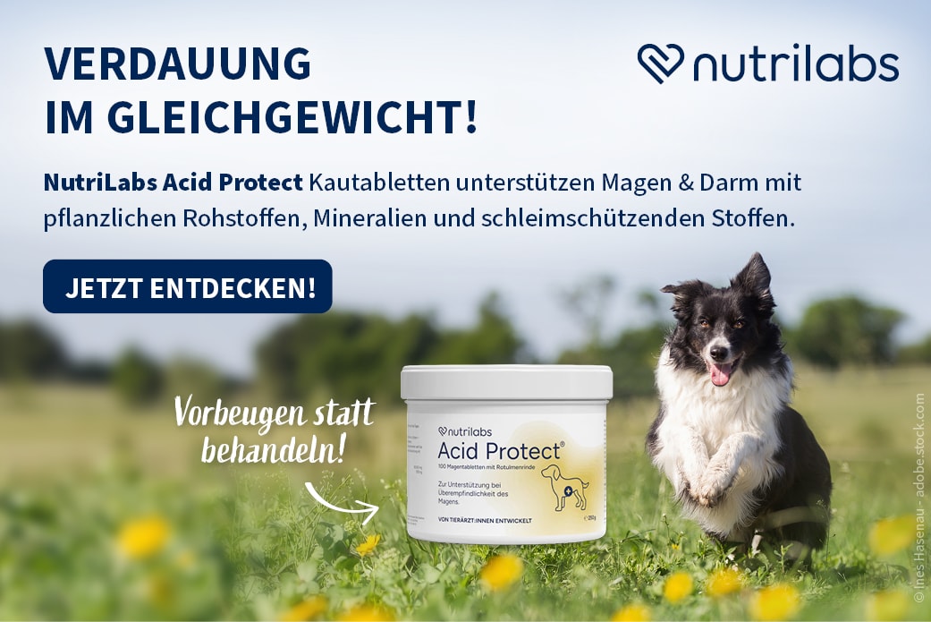 NutriLabs