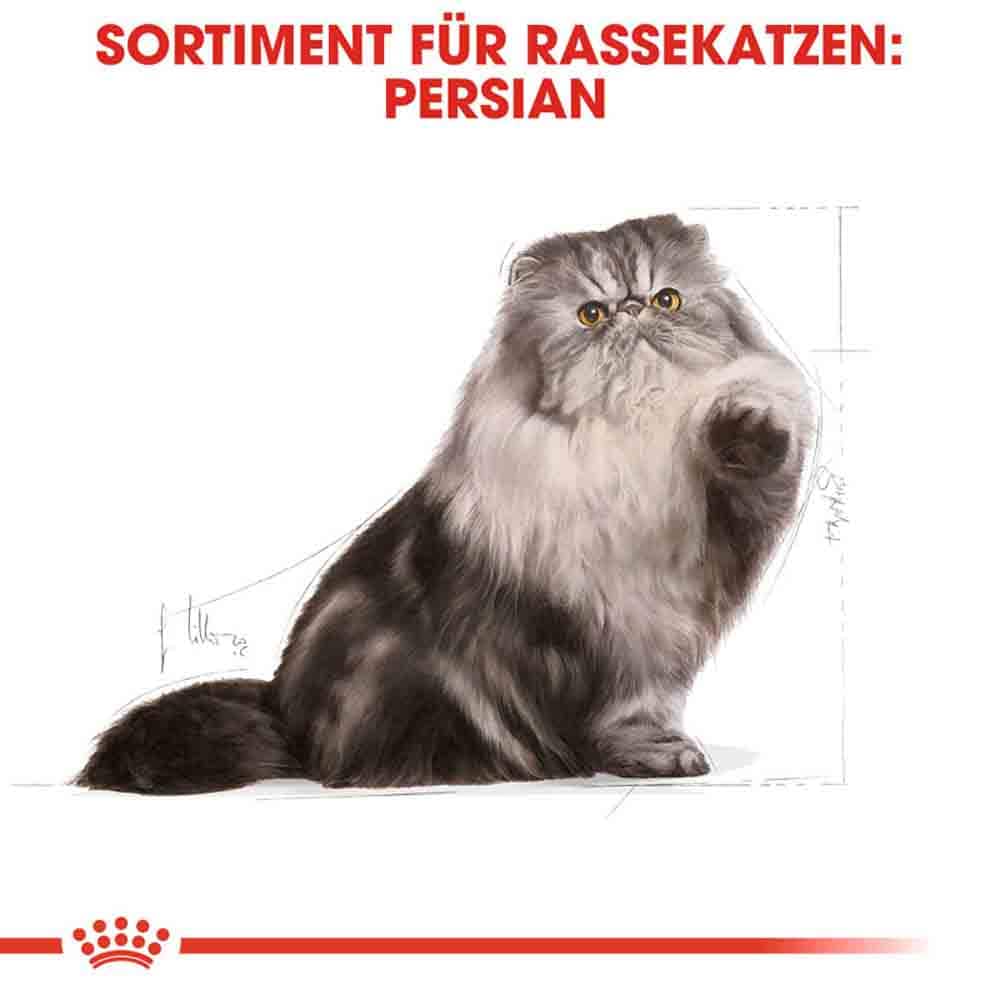 Royal Canin Persian Adult Trockenfutter für Perser-Katzen_2