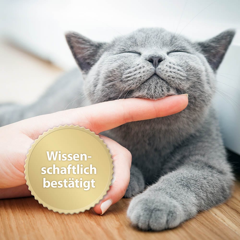 Felisept Home Comfort Spray für Katzen_4