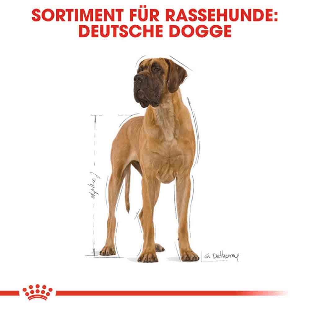 Royal Canin Great Dane Adult Hundefutter trocken_2