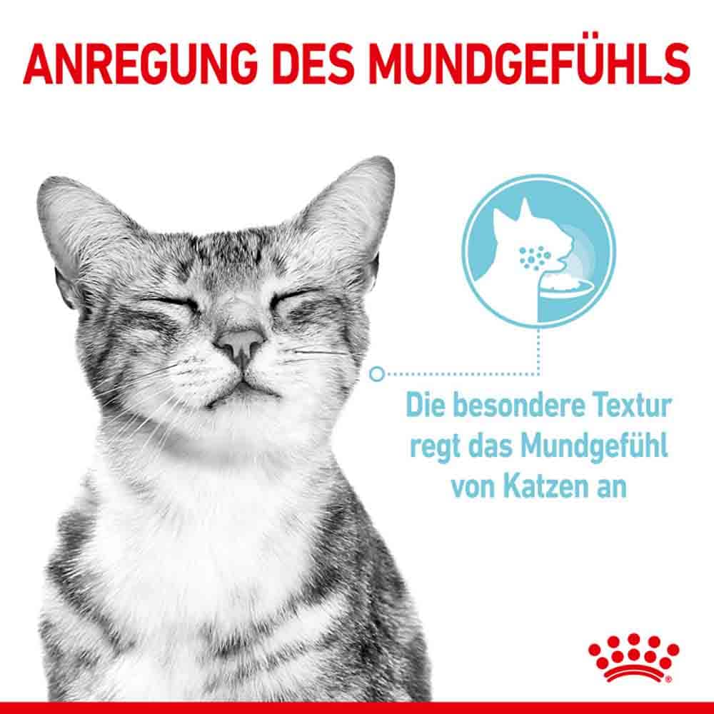 Royal Canin Sensory Smell Taste Feel Nassfutter Multipack in Soße für wählerische Katzen_4
