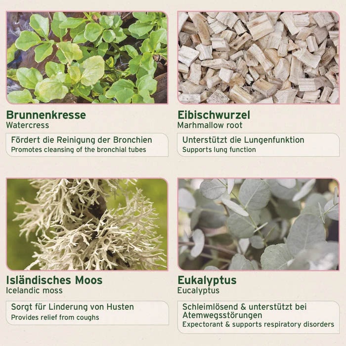 AniForte Bronchial Kräuter_1