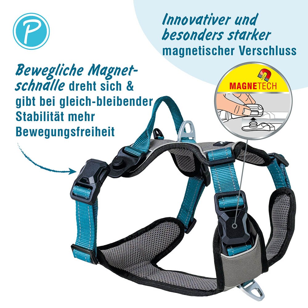 Petlando Magnetech Geschirr anthrazit/petrol_2