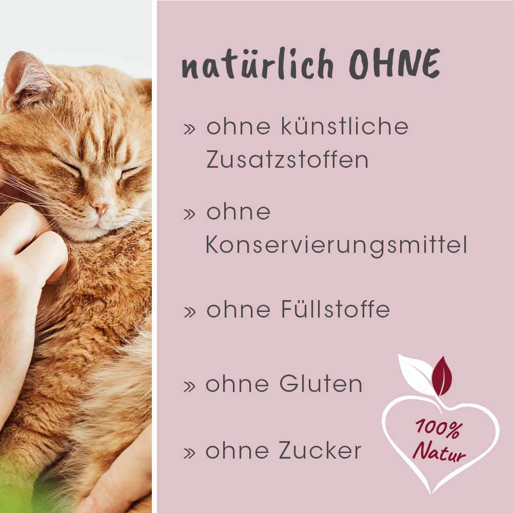 cdVet feliTATZ Senior_6