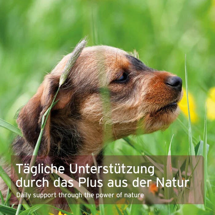 AniForte LeberVetal Kräuter Pulver für Hunde_4