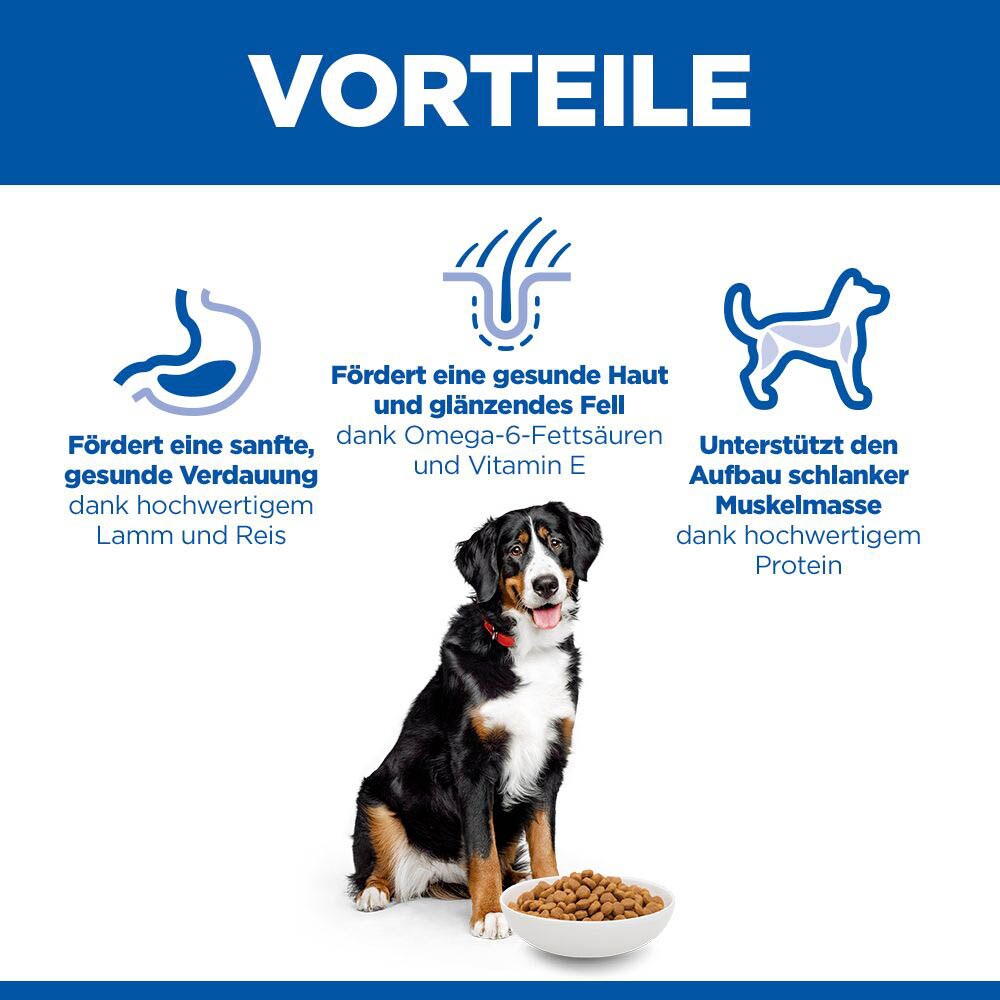 Hills Science Plan Adult Large Breed mit Lamm und Reis Trockenfutter für Hunde_2