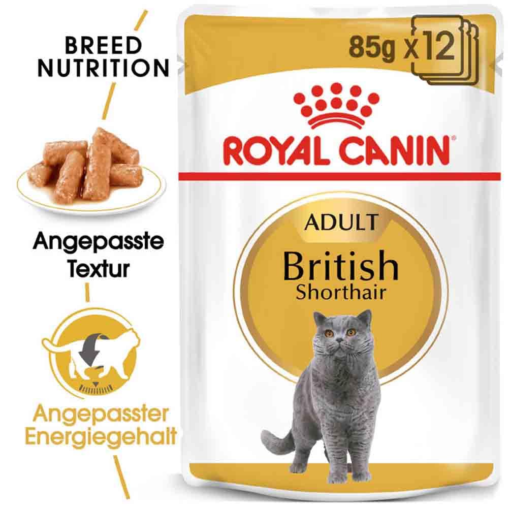Royal Canin British Shorthair Adult Katzenfutter nass für Britisch Kurzhaar_0