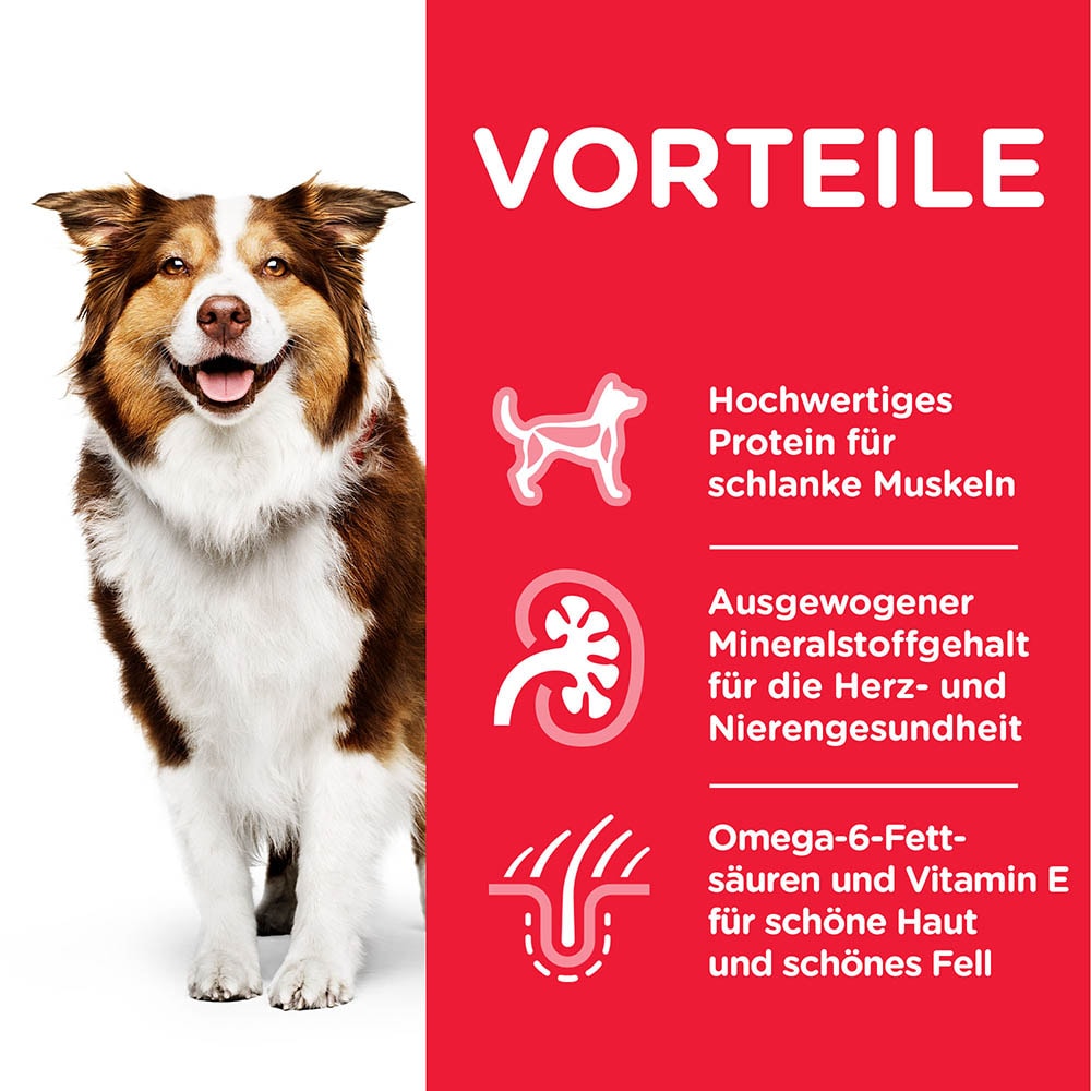 Hills Science Plan Mature Adult 7+ mit Huhn Nassfutter für Hunde_2