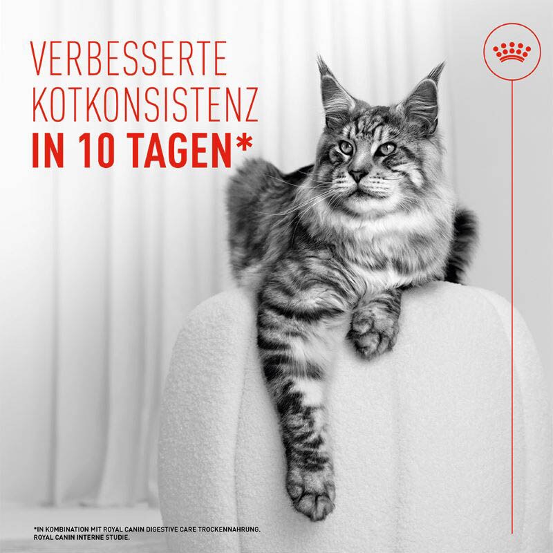 Royal Canin Digestive Care Airlift Mousse Feuchtnahrung für Katzen_4