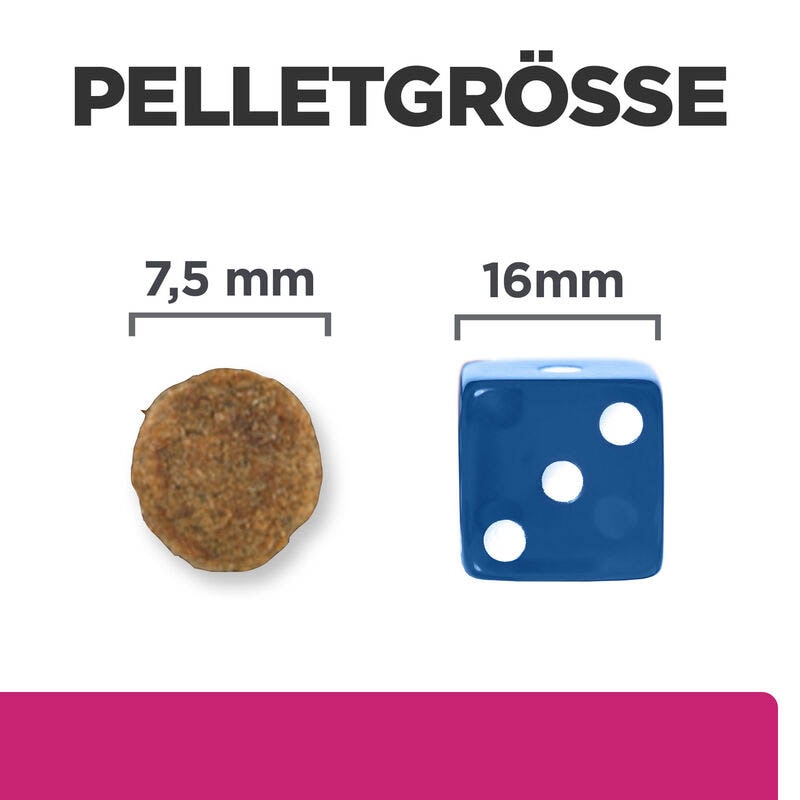 Hills Prescription Diet Gastrointestinal Biome Mini Hundefutter_2