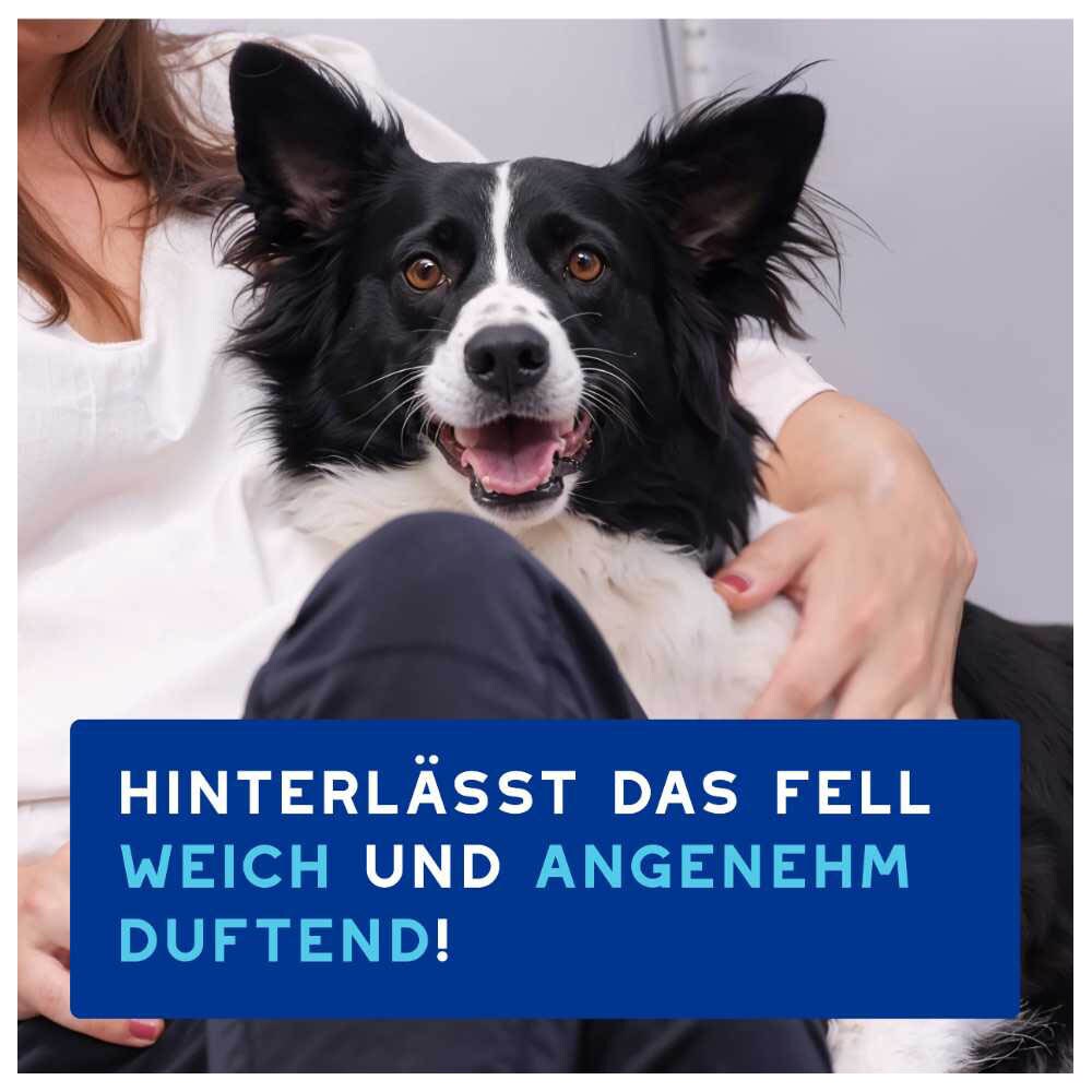 Douxo Spa Trockenshampoo für Hunde_5