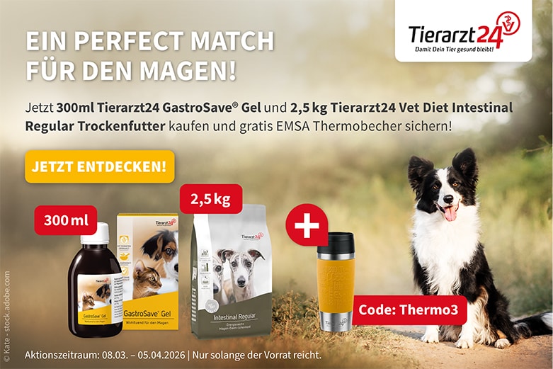 Tierarzt24 Aktion
