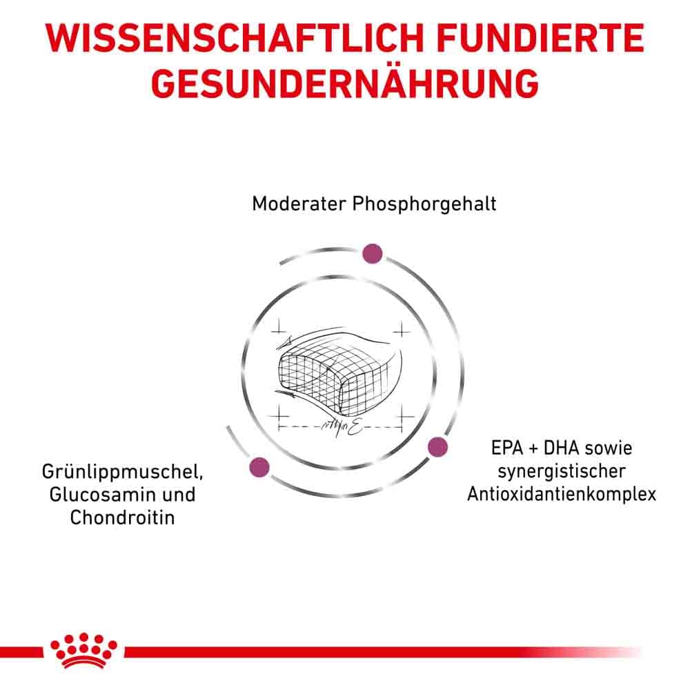 Royal Canin Veterinary Early Renal Trockenfutter für Katzen_2