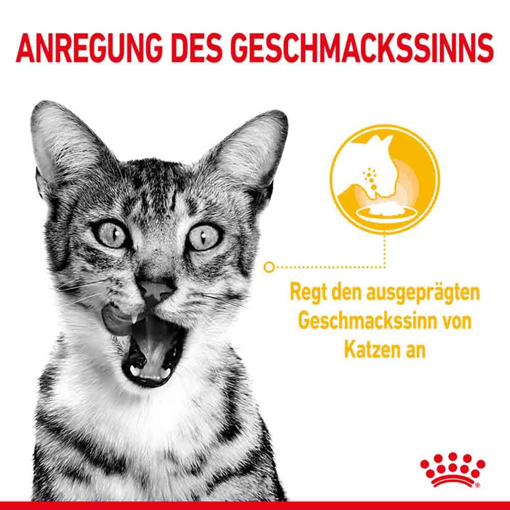 Royal Canin Sensory Taste Nassfutter in Soße für wählerische Katzen_2