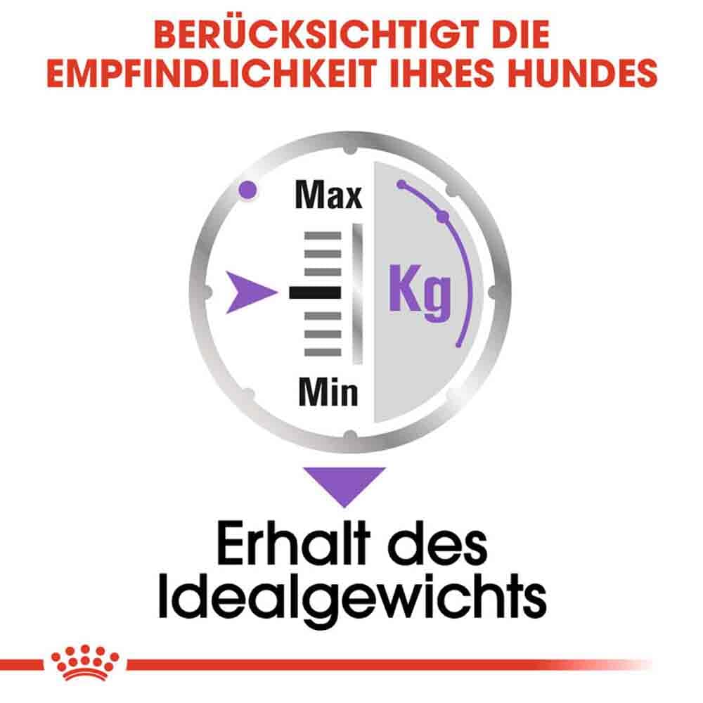 Royal Canin Sterilised Nassfutter für kastrierte Hunde_3