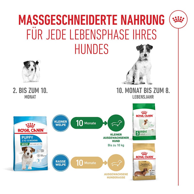 Royal Canin Mini Puppy Trockenfutter für Welpen kleiner Hunderassen_5