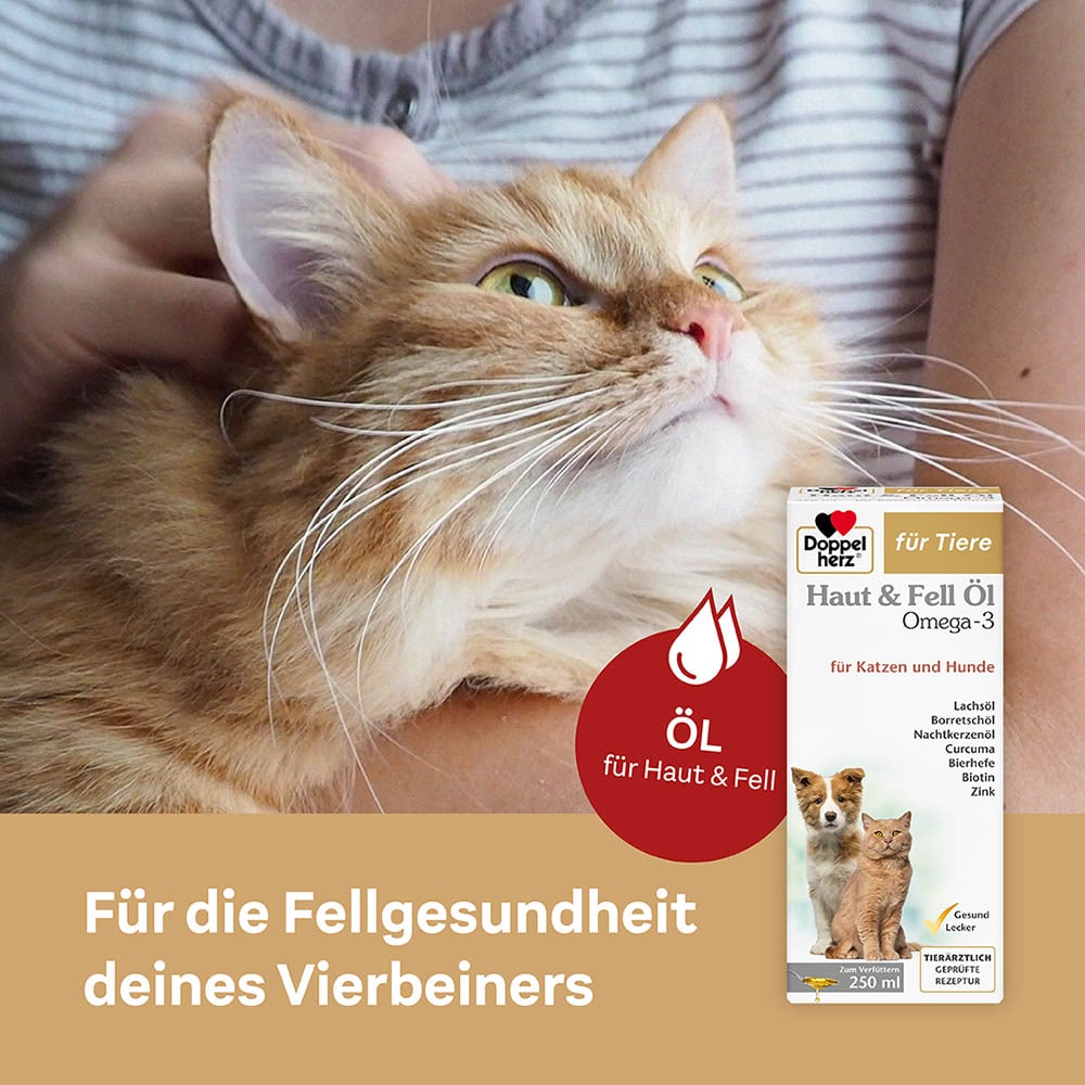 Doppelherz Haut und Fell Öl für Hunde und Katzen _3