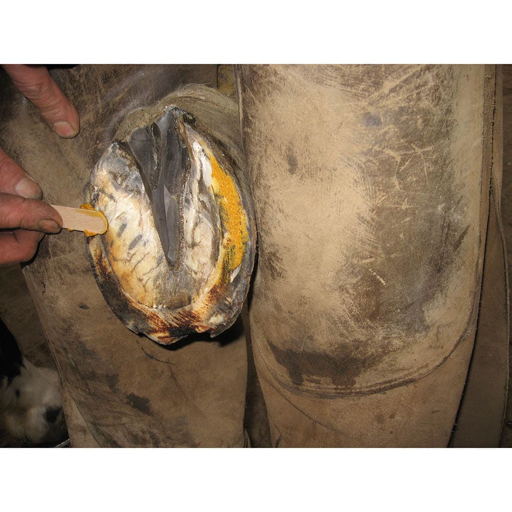 Keralit Undercover_3