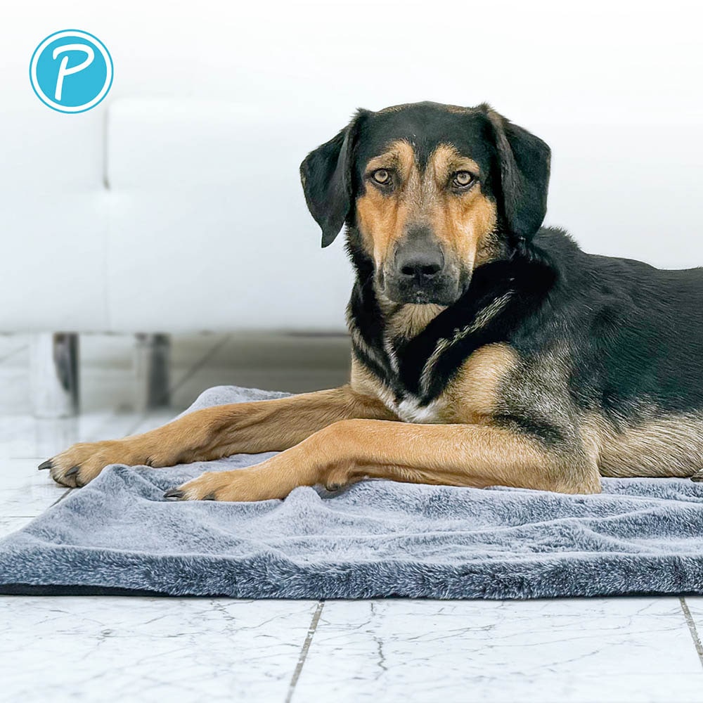 Petlando Kuscheldecke Alaska grau_4