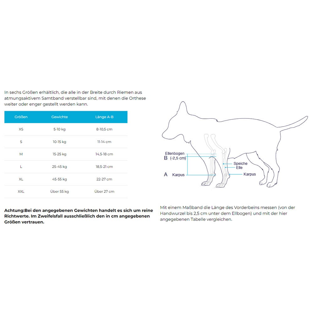 Balto Rehab-Orthese BT Bone_5