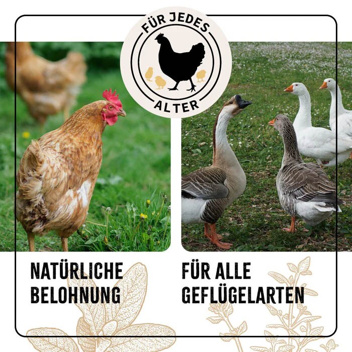 AniForte FarmLife Geflügel Wohlfühl-Kräuter_5