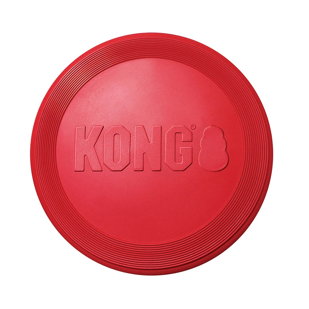 KONG Flyer_4