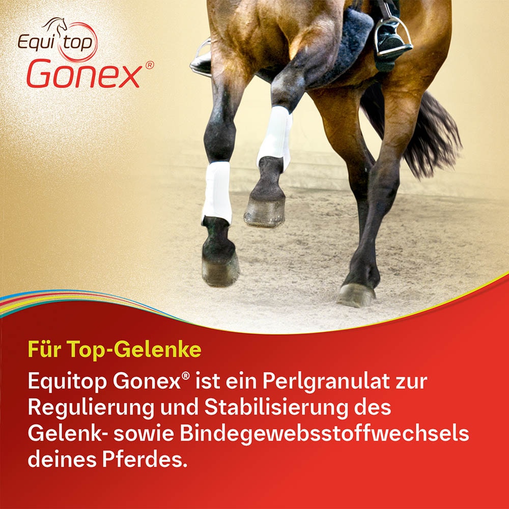 Boehringer Ingelheim Equitop Gonex_2