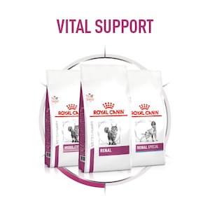 Bilder für Hersteller Royal Canin Vital Support