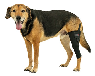 Tierarzt24 Neopren Knieprotektor links_0