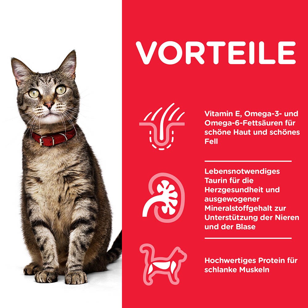 Hills Science Plan Adult Rind Nassfutter für Katzen_1