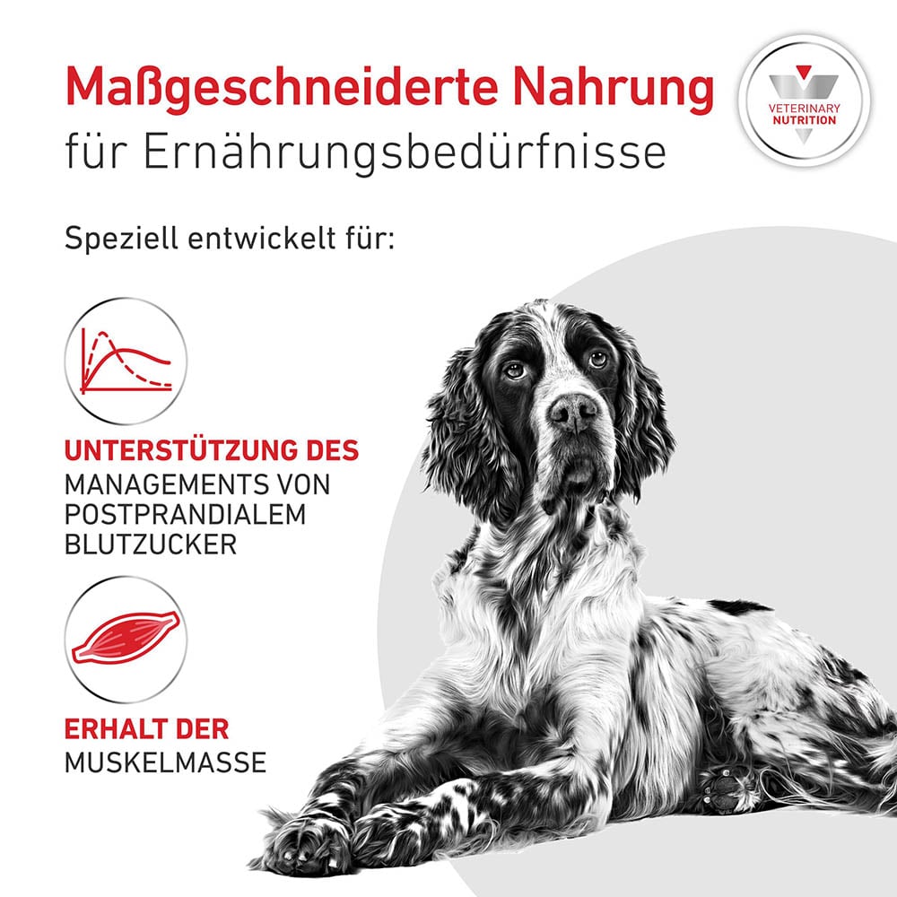 Royal Canin Veterinary Glycobalance Trockenfutter für Hunde_4