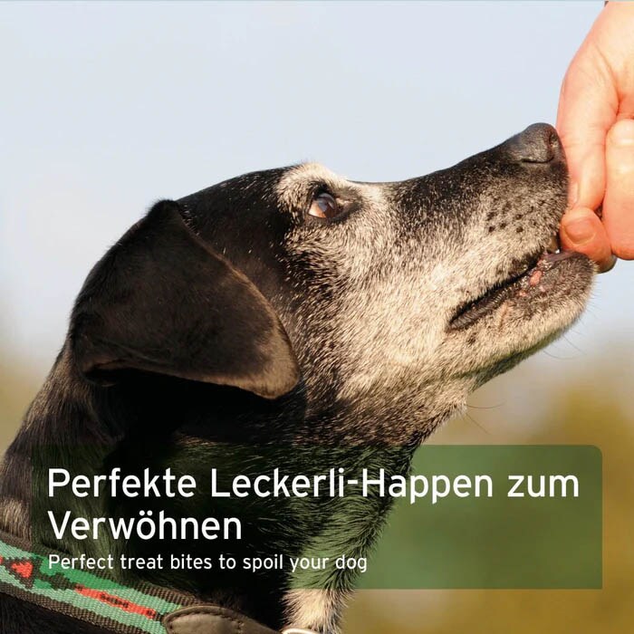 AniForte Dog Snacks Obst & Gemüse_4