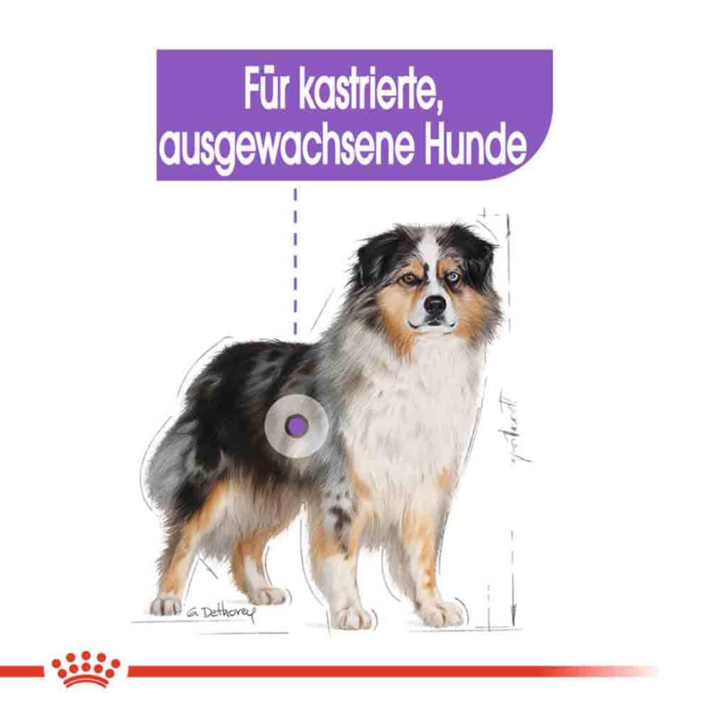 Royal Canin Sterilised Medium Trockenfutter für kastrierte mittelgroße Hunde_2