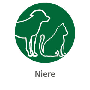 Bilder für Hersteller Niere